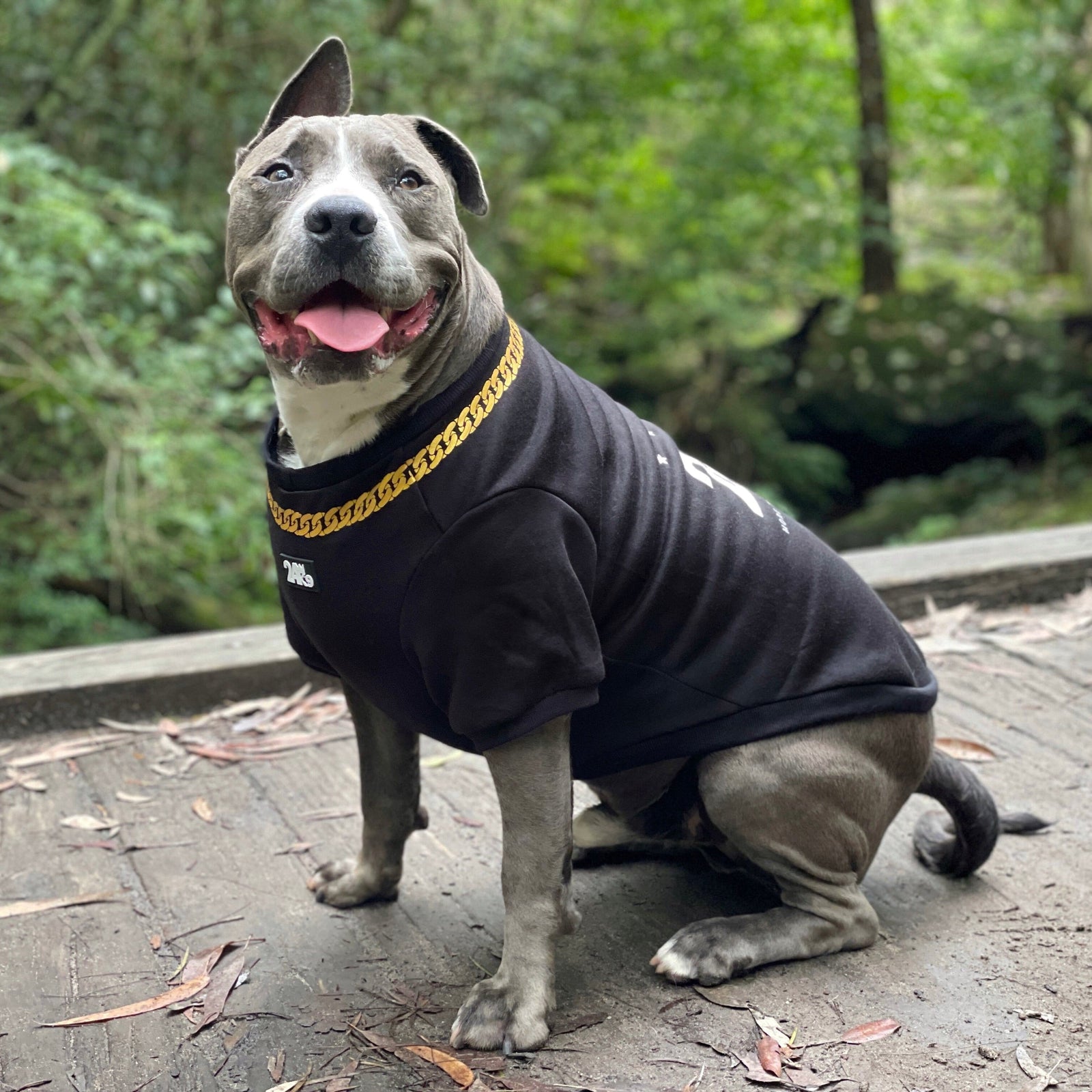 dog sweater, dog shirt, dog sweater, dog clothing, dog clothes, dog apparel, clothing for dogs, cool dog clothes, affordable dog clothes, winter clothes for dogs