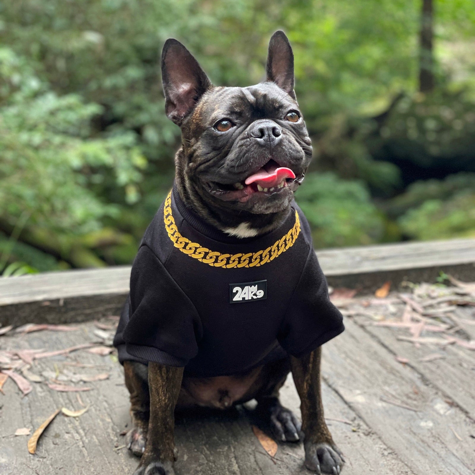 dog shirt, dog shirt, dog sweater, dog clothing, dog clothes, dog apparel, clothing for dogs, cool dog clothes, affordable dog clothes, winter clothes for dogs