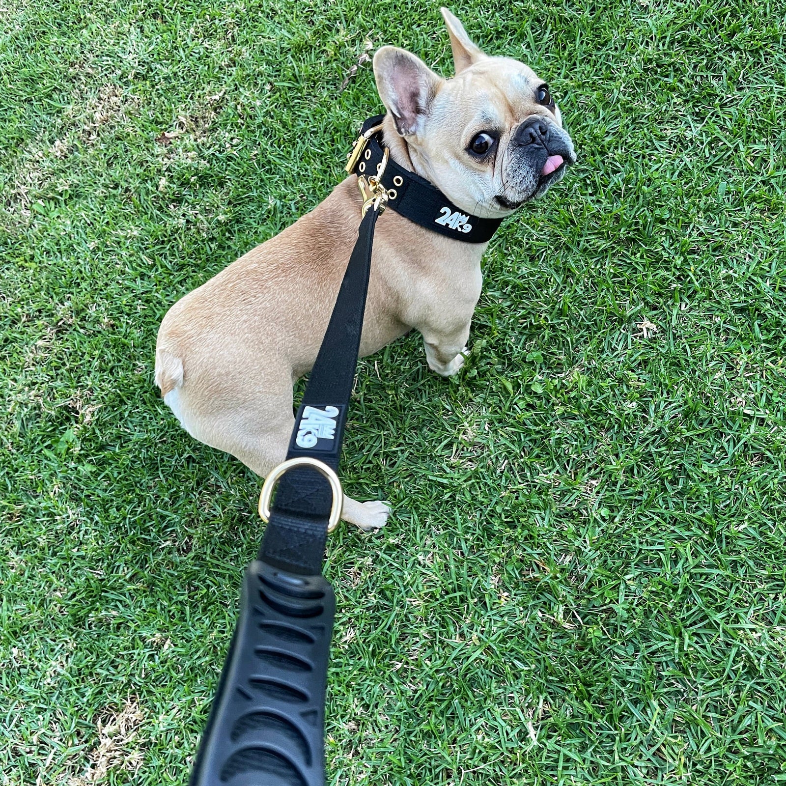 Comfort Control Dog Leash - Durable Dog Walking Leash