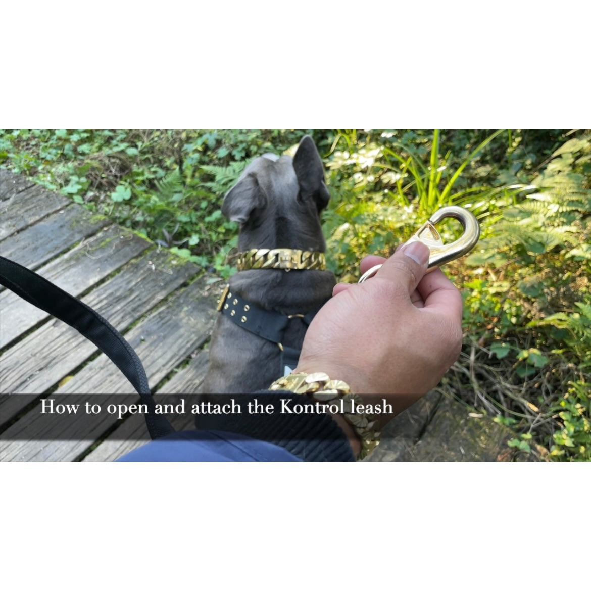 Stylish Gold Clasp Leash