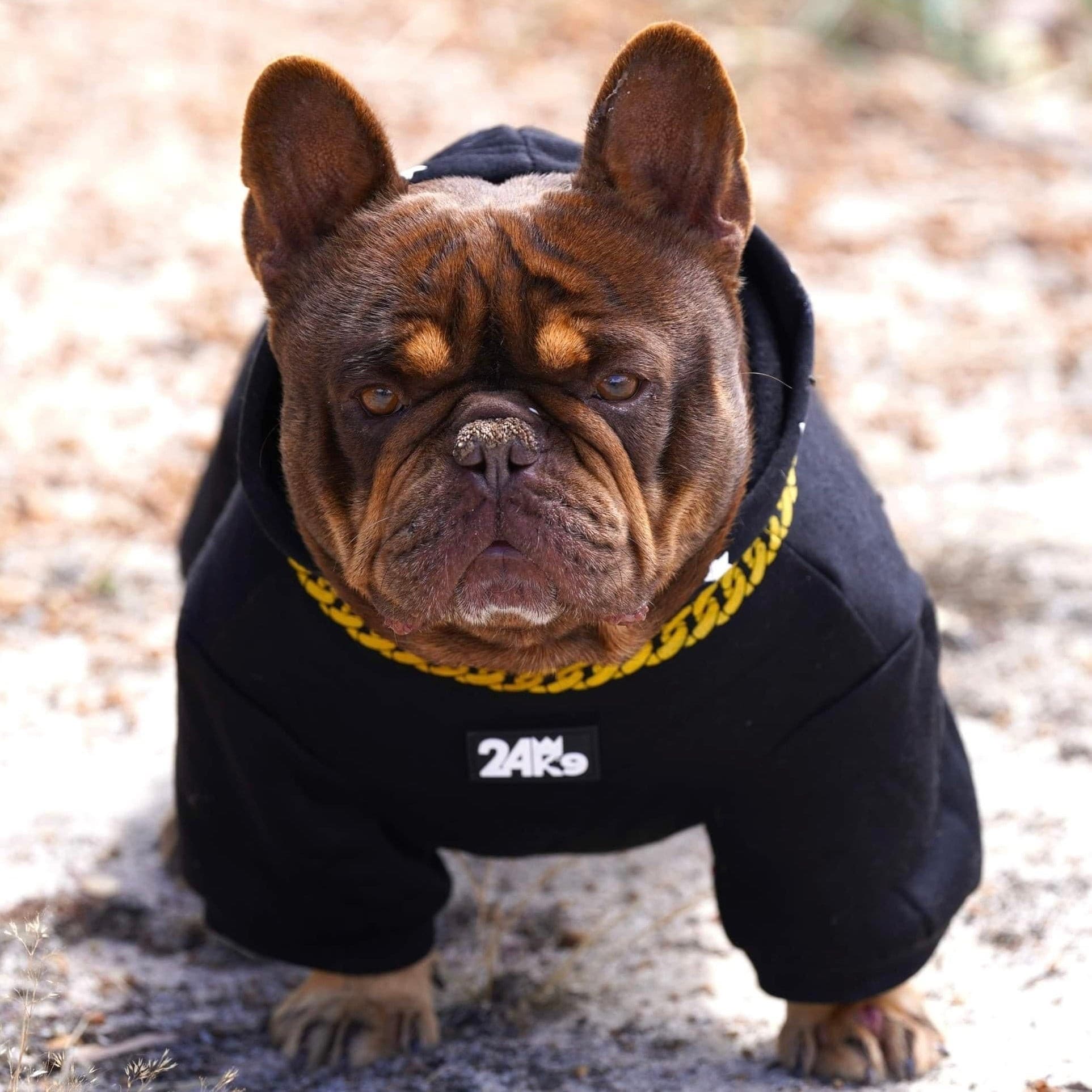 Show Stopper Canine Hoodie