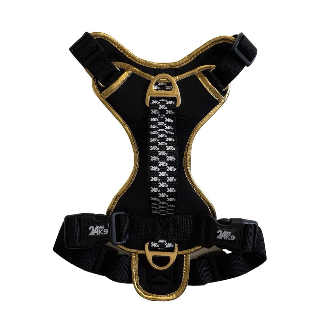 Comfortable Adjustable Harness