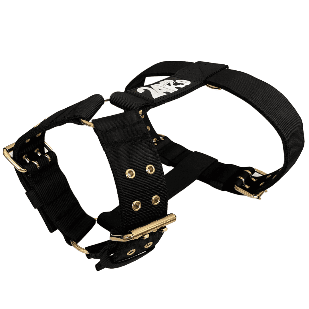 Kontrol Harness 24K9